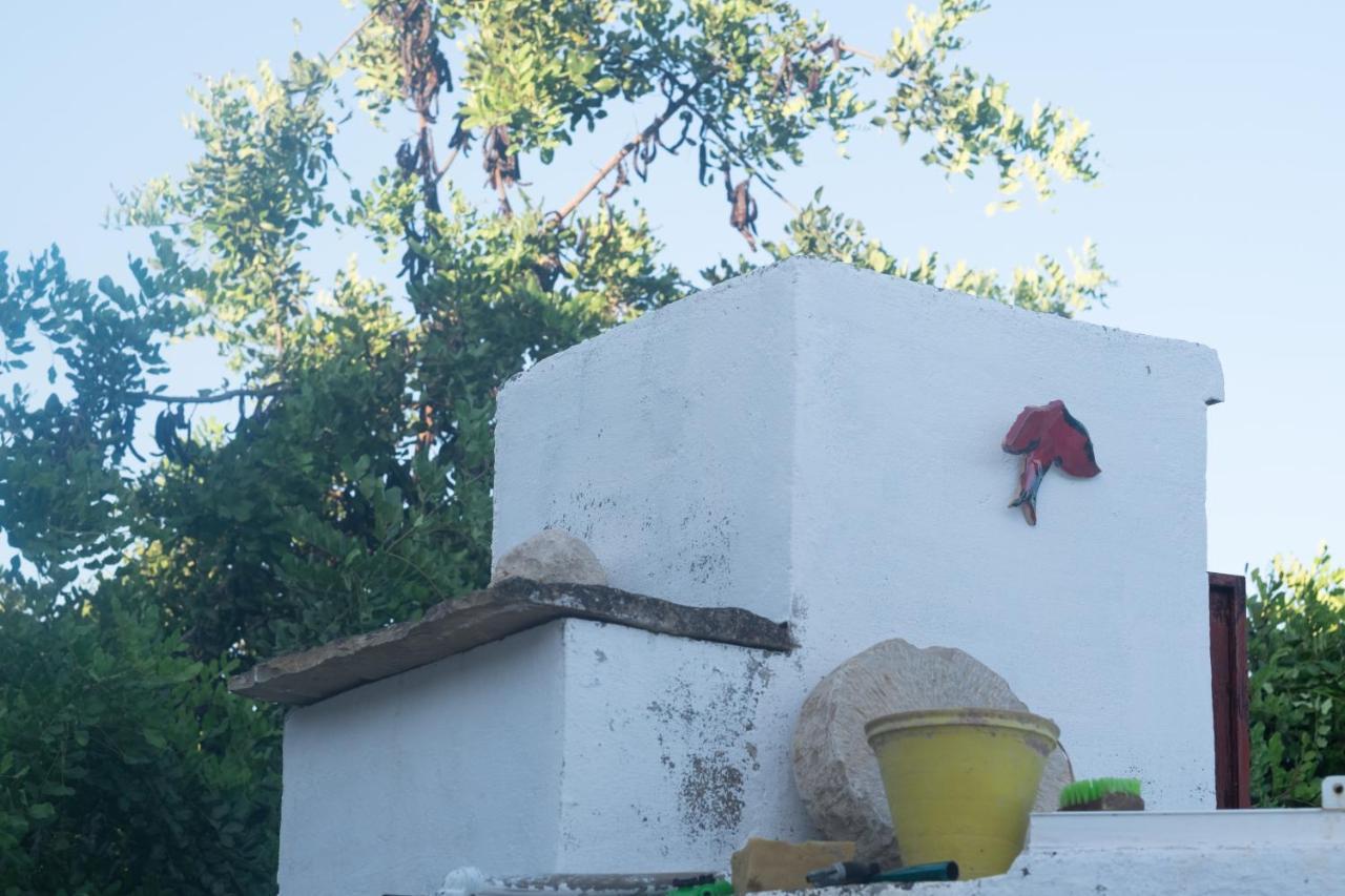 Casa Da Cabeca Hotel Azinheiro Bagian luar foto